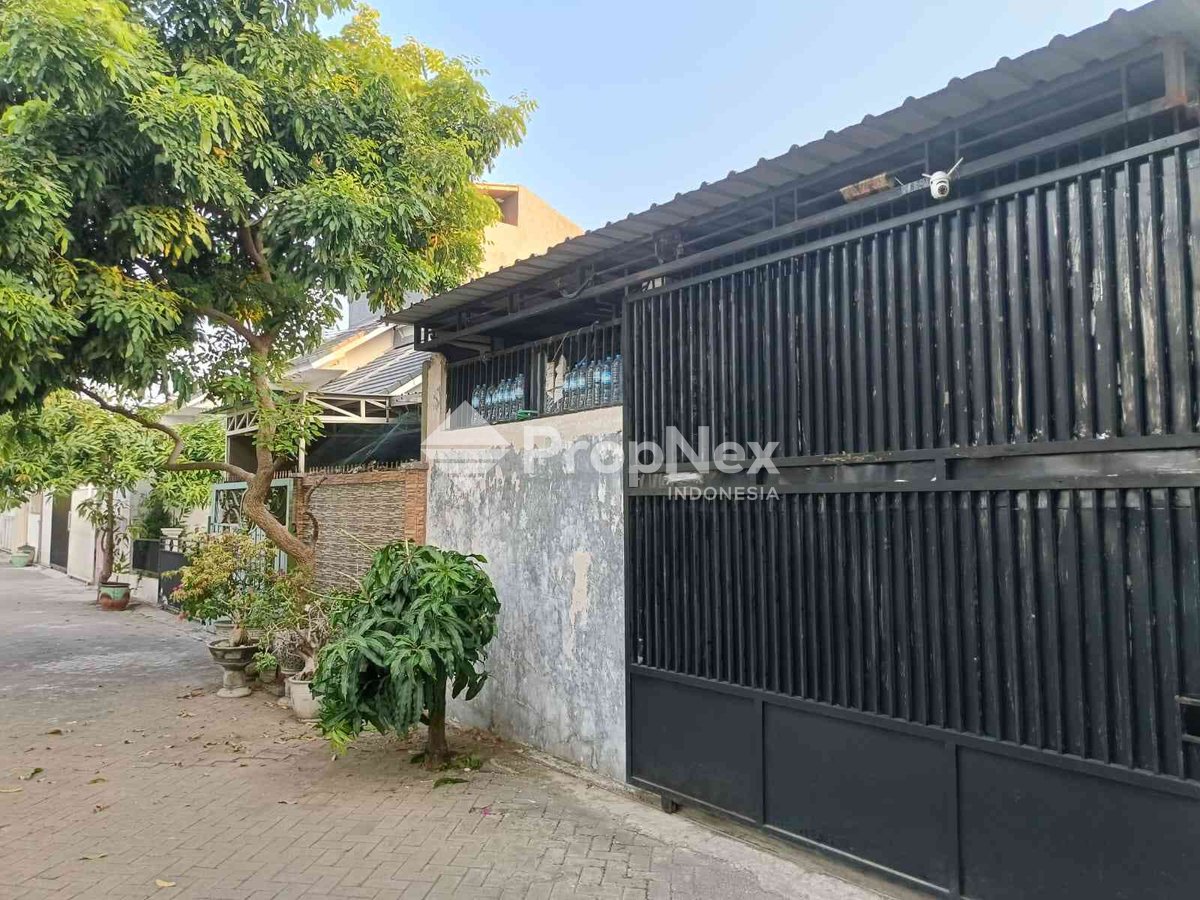 Rumah GOLDEN BERRY Type Jasmin Gresik