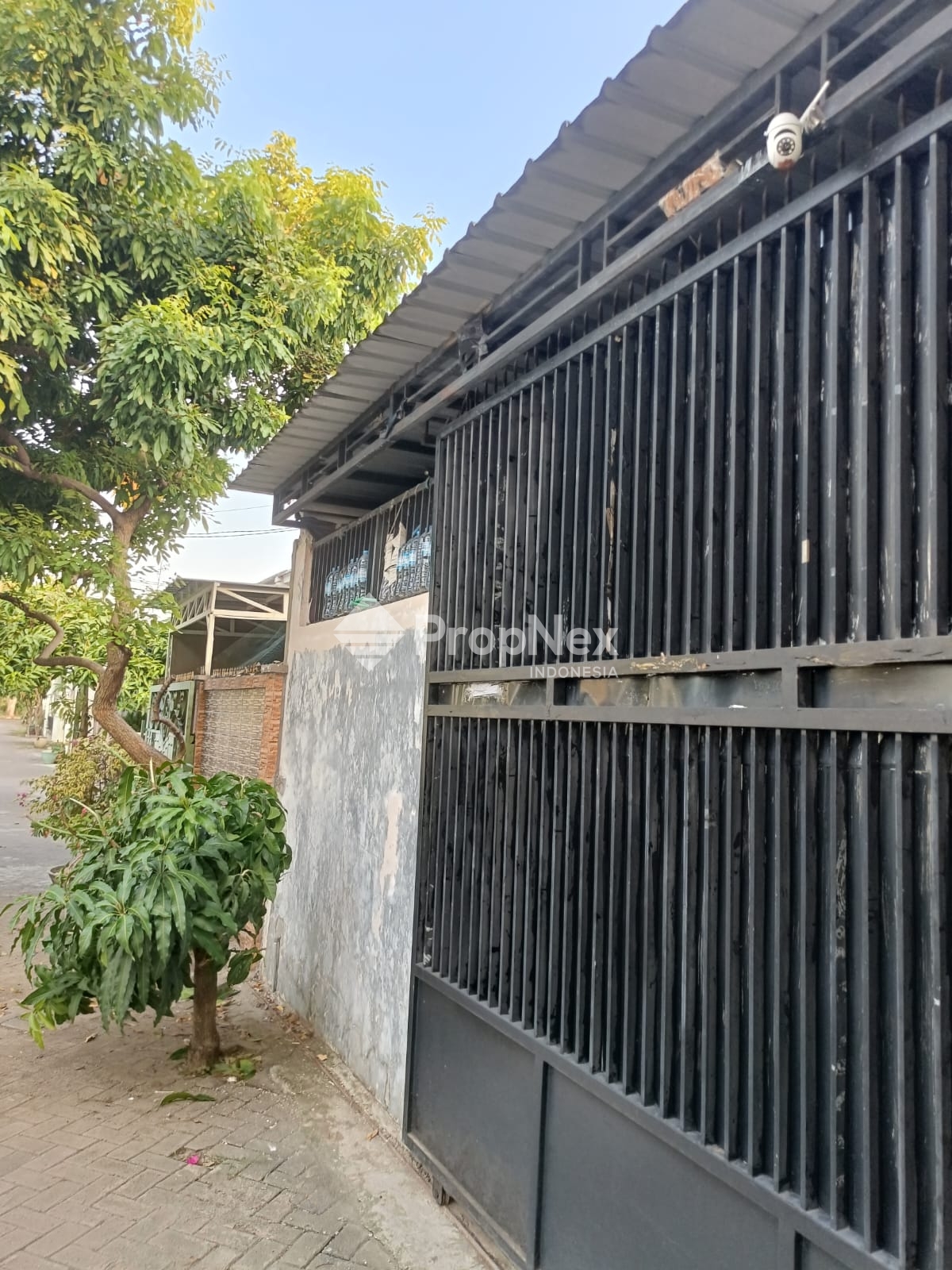 Rumah GOLDEN BERRY Type Jasmin Gresik — foto 3