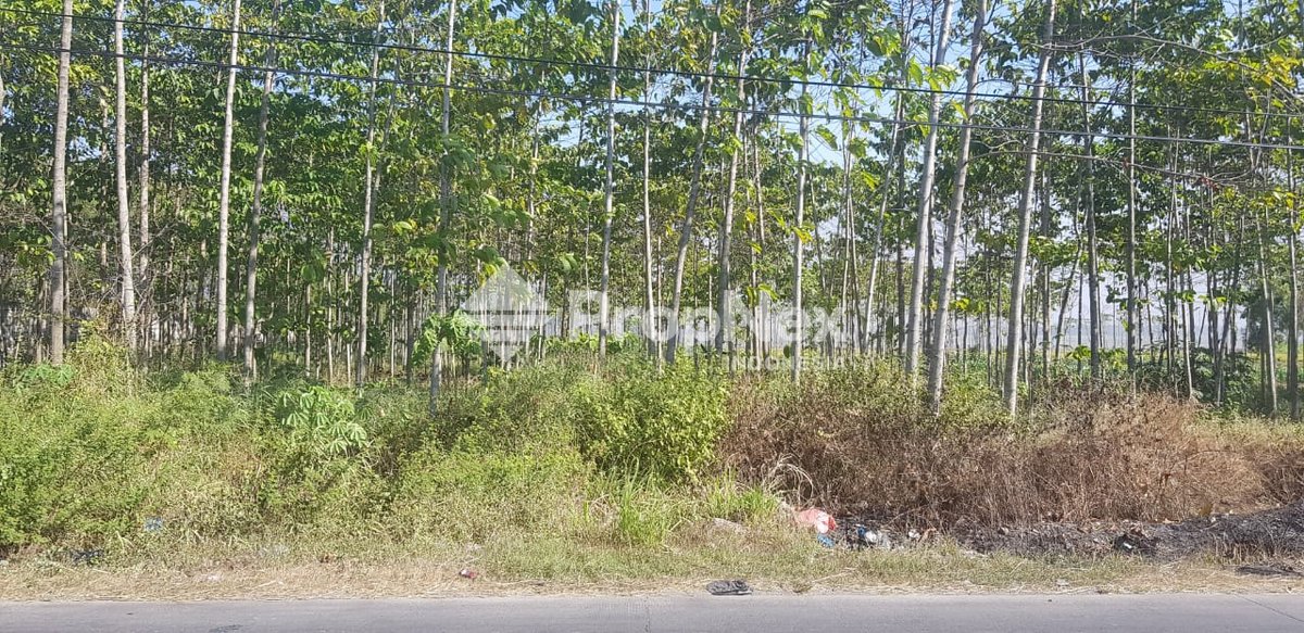 Tanah Industri Jetis Mojokerto