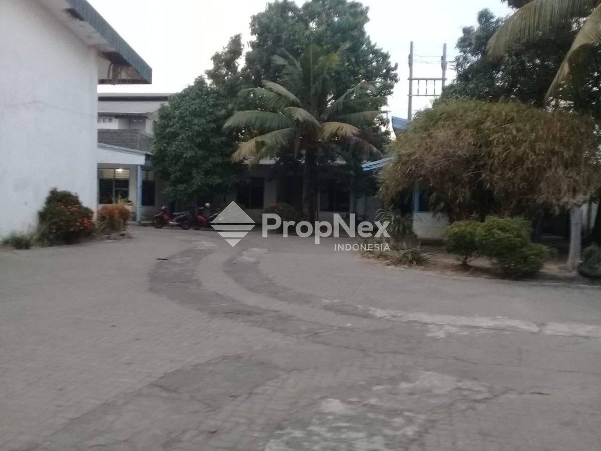 Kidemang Singomenggolo sidoarjo — foto 6