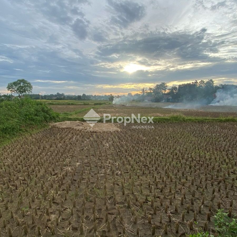 Tanah Sawah Padat Babat, Legok Tangerang Banten
