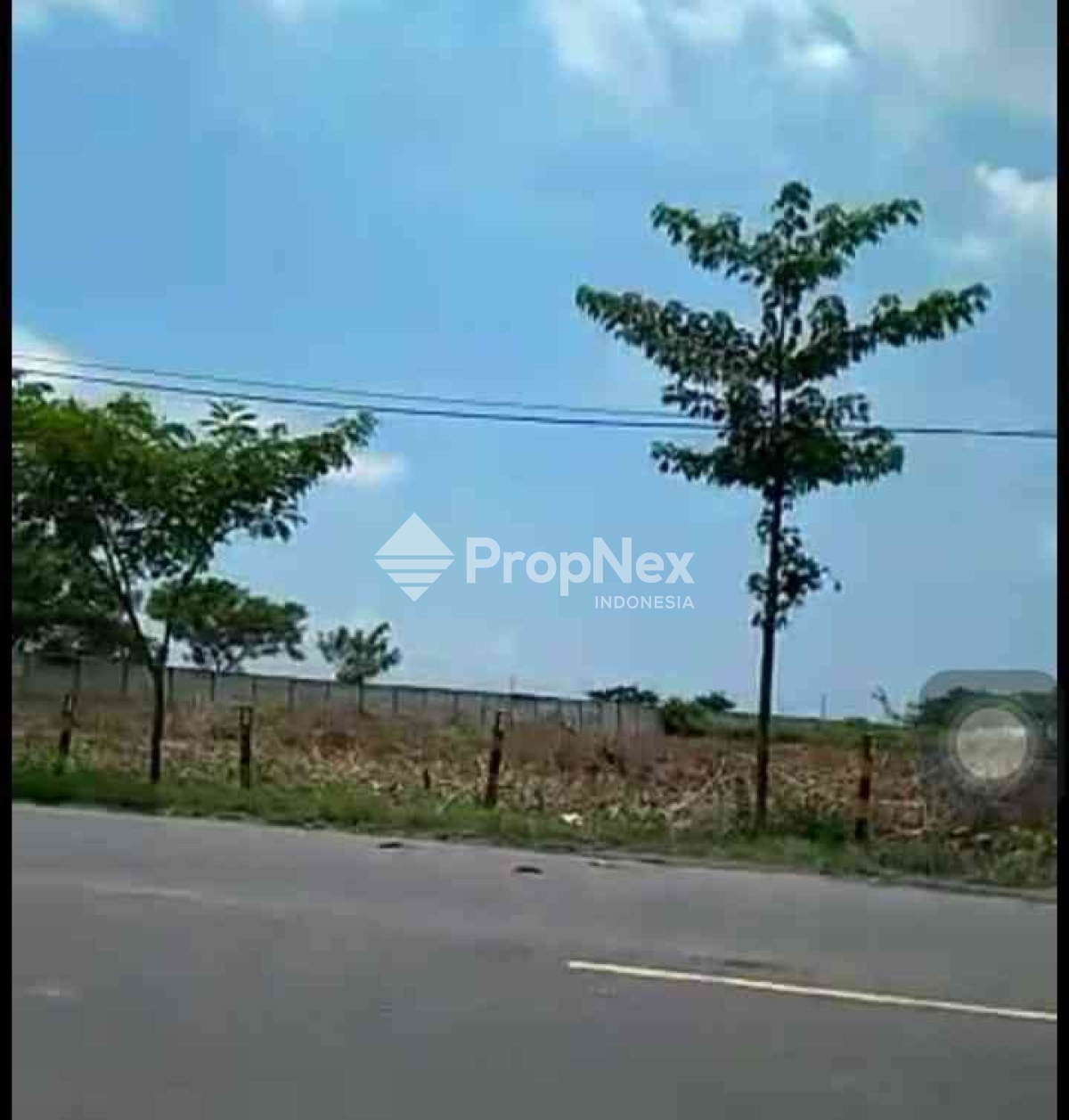 Nasional Widang Tuban