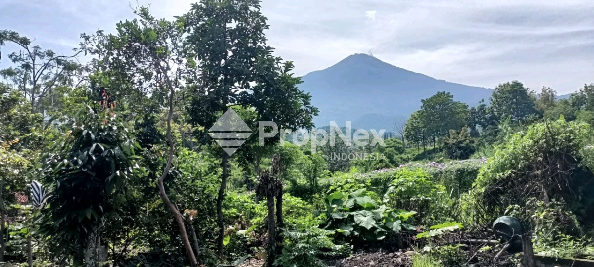 desa Sajen Pacet Mojokerto