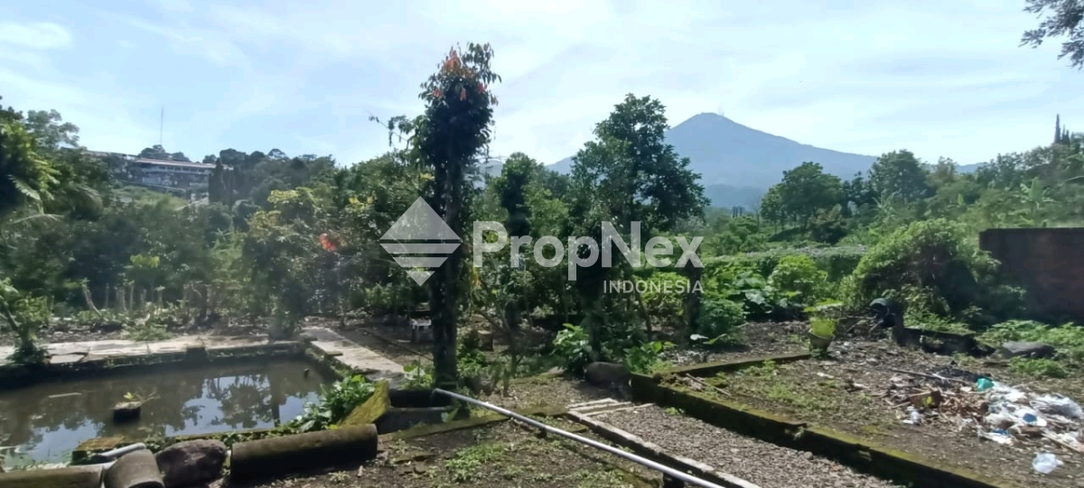 desa Sajen Pacet Mojokerto — foto 3