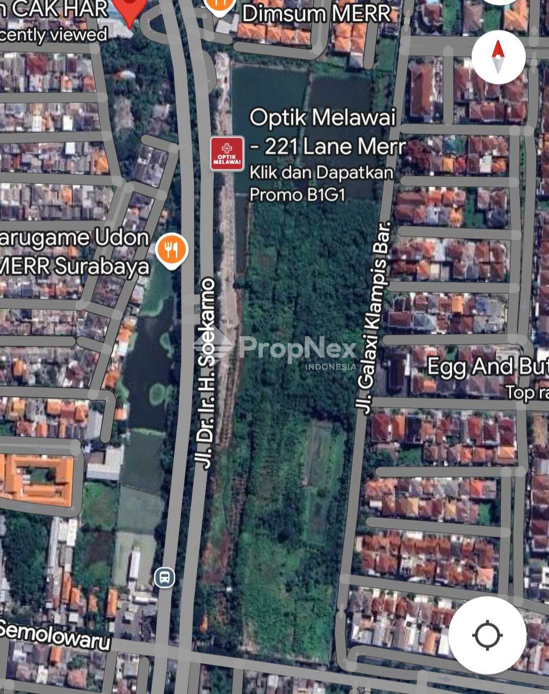 Raya Merr — foto 5