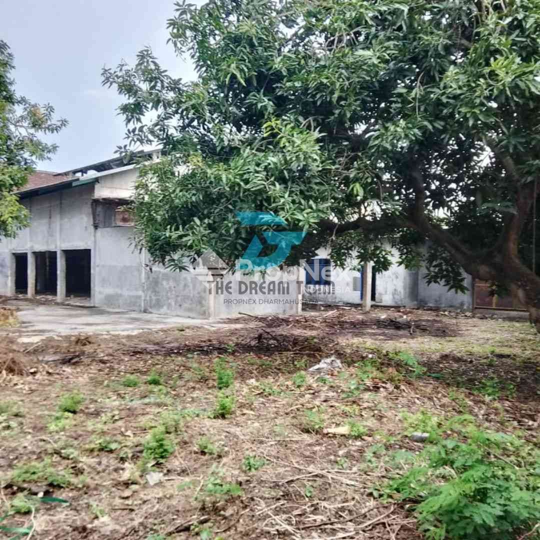 Gempol — foto 3