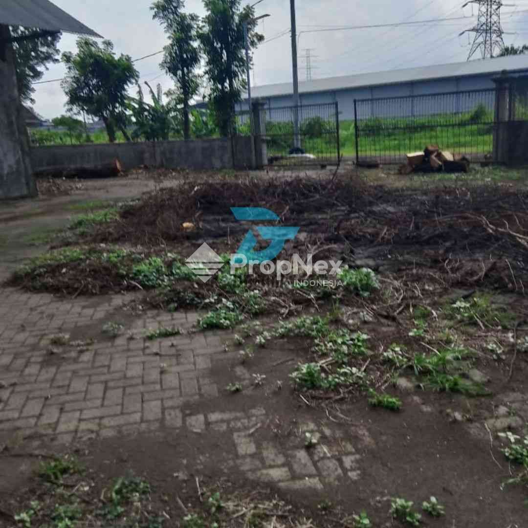 Gempol — foto 6