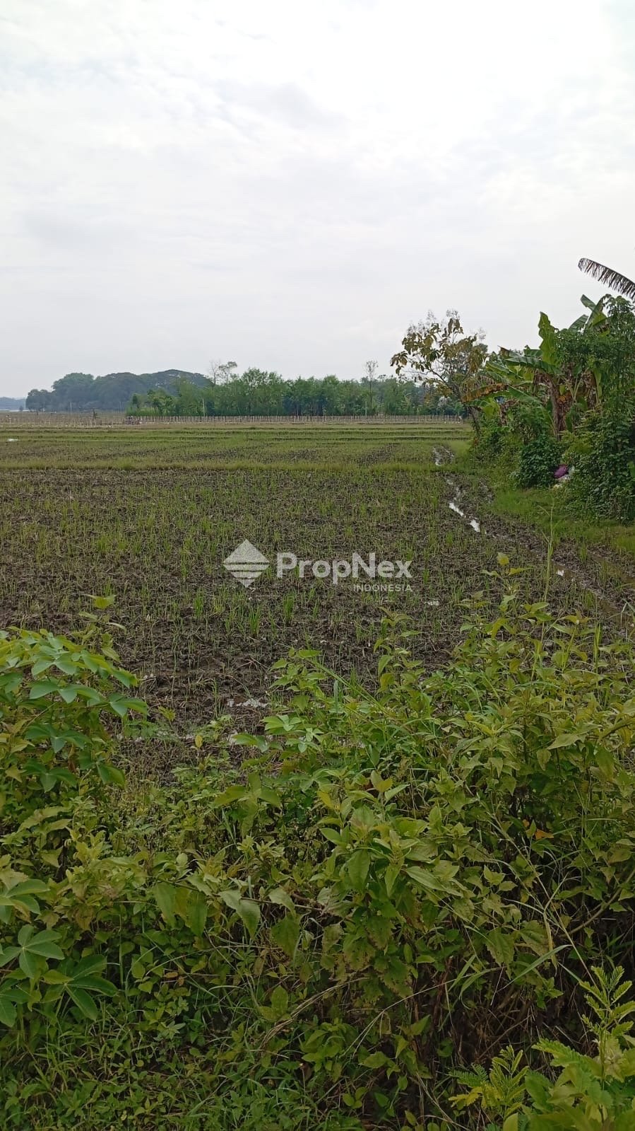 Lahan Industri Nganjuk