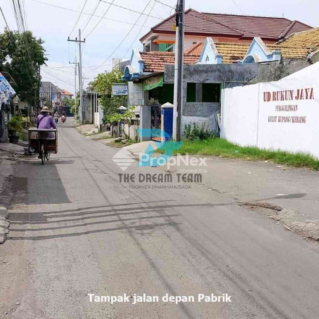 Balonggabus