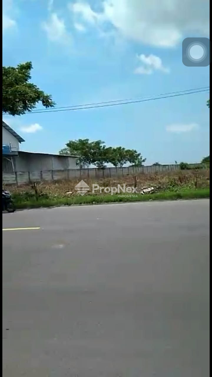 Widang - Tuban — foto 3