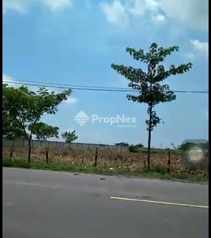 Widang - Tuban — foto 4