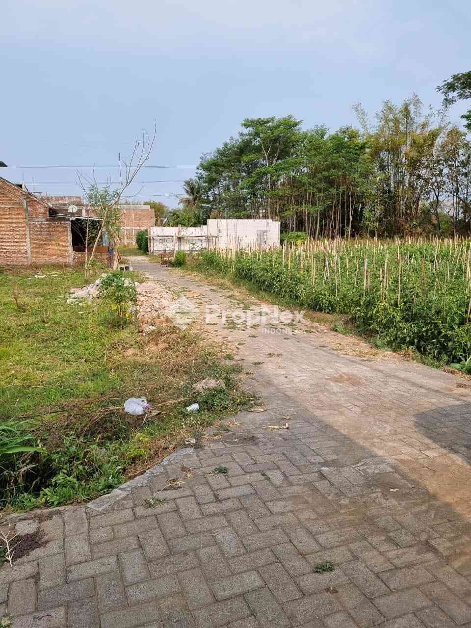 Junrejo Batu — foto 2